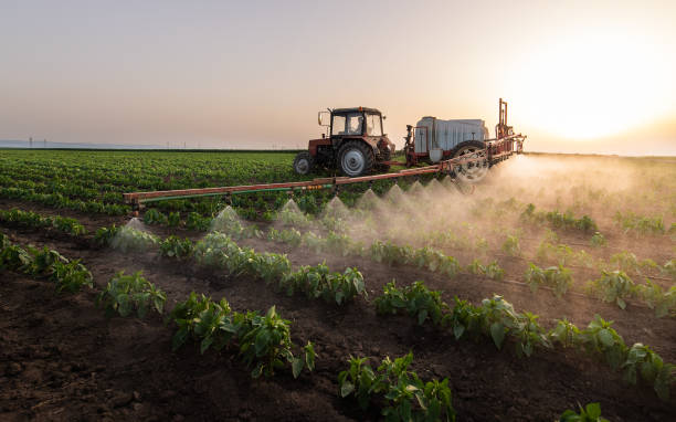 Best Pest Control Cost  in Avery Creek, NC