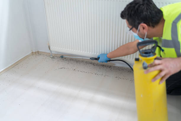 Best Commercial Pest Control Services  in Avery Creek, NC